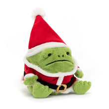 Load image into Gallery viewer, Santa Ricky the Rain Frog
