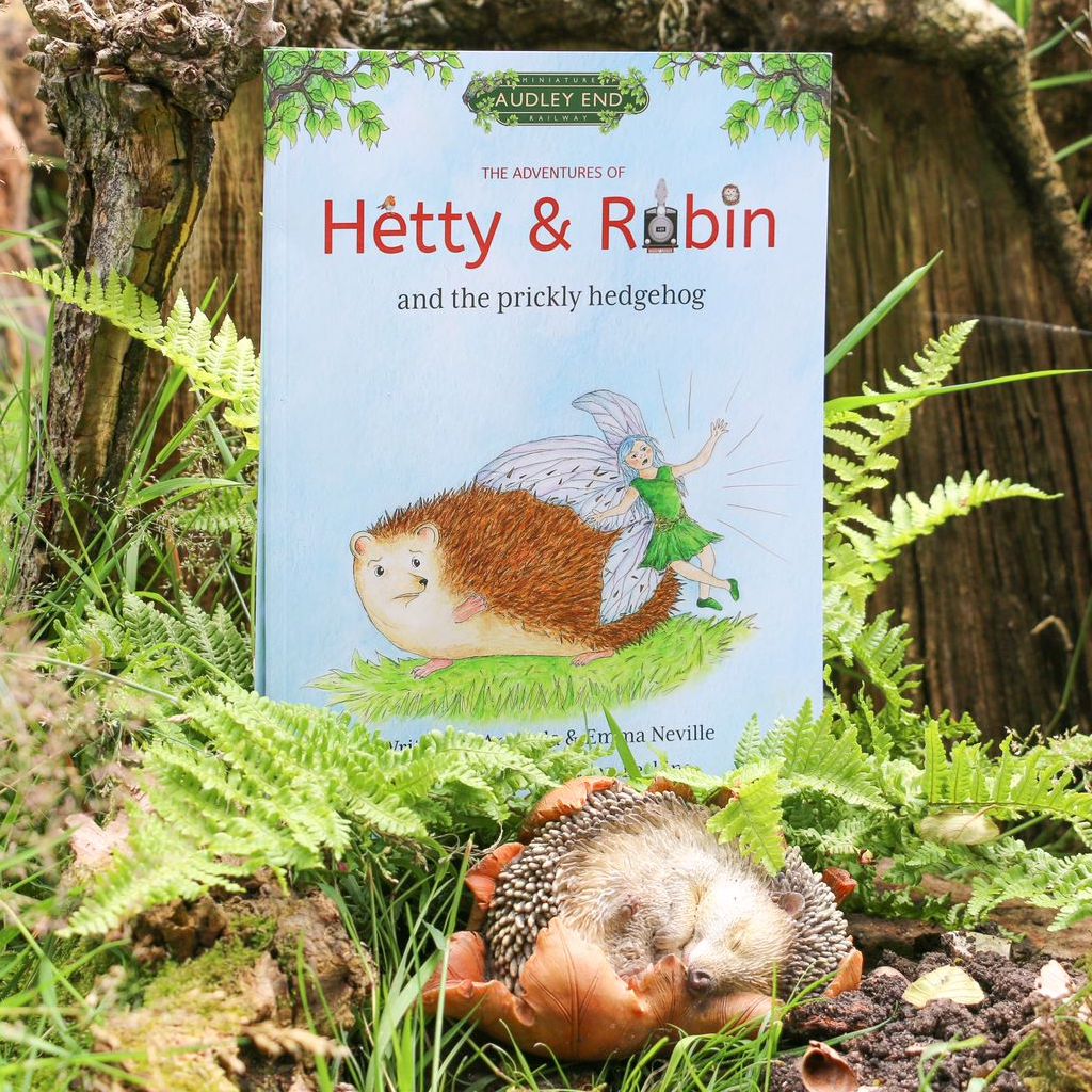 Hetty & Robin and The Prickly Hedgehog Book