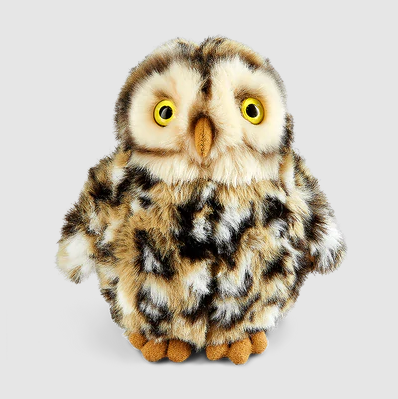 Living Nature - Owl