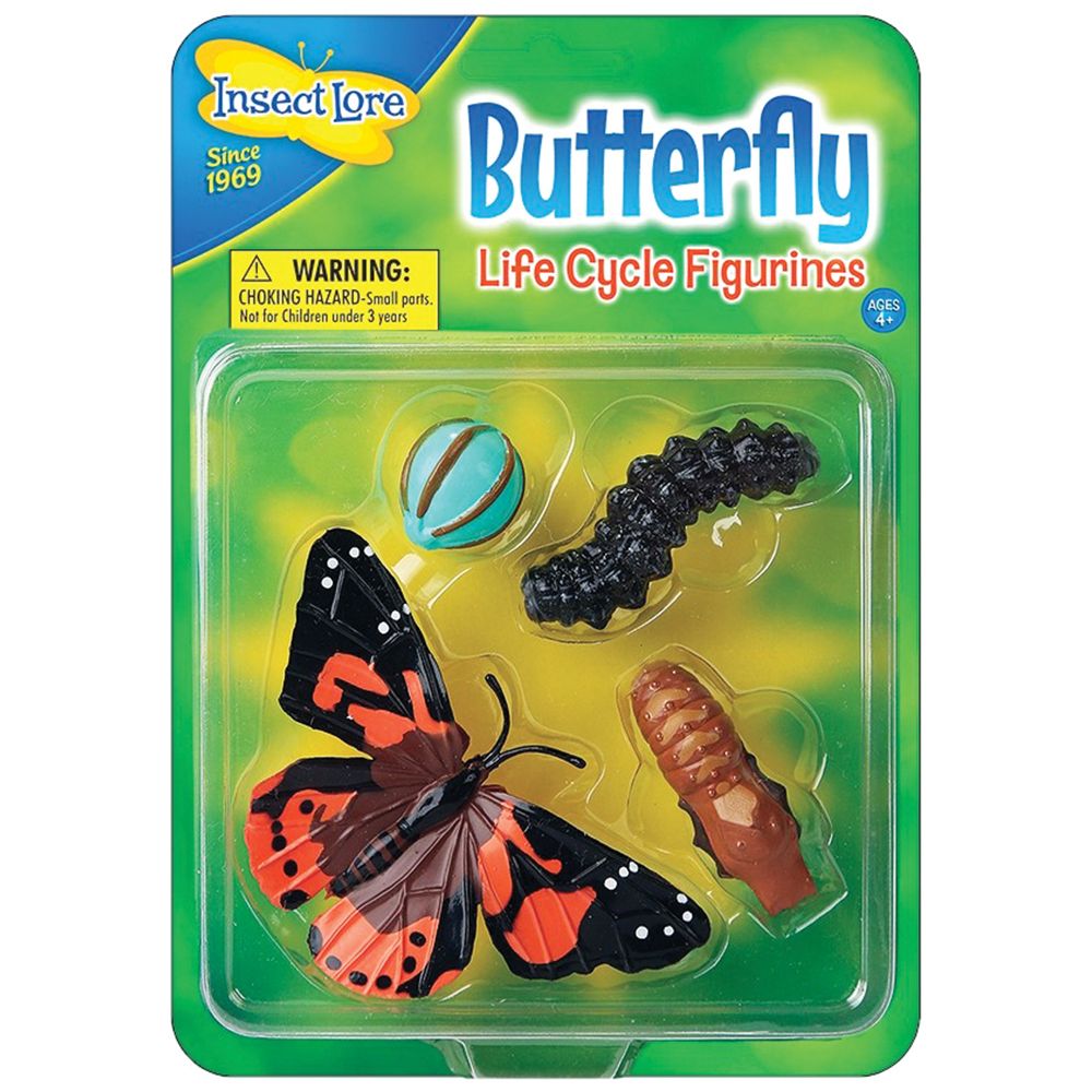 Lifecycle Stages - Butterfly